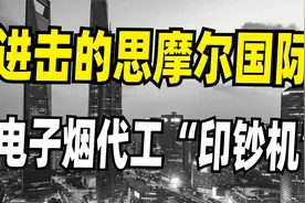 又一个贵州茅台，思摩尔国际，电子烟代工龙头，简直是印钞机！视频封面