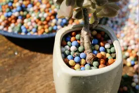 花盆里面不漂亮？园艺师教你，用上彩色陶粒，颜值直线往上升视频封面