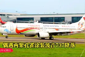 偶遇两架东航B737-800彩绘机降落广州白云机场，孔雀涂装太美了视频封面