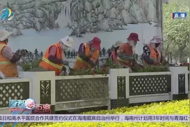 提升改造绿化节点 扮靓城市道路景观视频封面