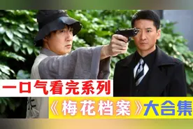 一口气看完《梅花档案》梅花图惊艳现世，梅花组织死灰复燃视频封面