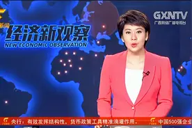 广西台-经济新观察栏目报道 ‘供应链-产业转型升级新动能’大会视频封面