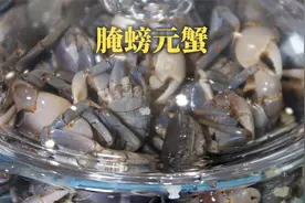 醉腌螃元蟹怎么腌才对宁波人的胃口呢？今天毛厨仔仔细细的教你！视频封面