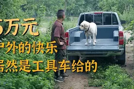 露营人谁不想搞个皮卡，5万元的二手快乐我先上了！视频封面