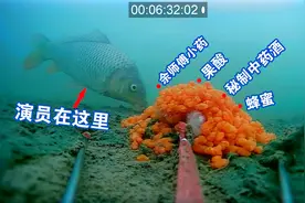 钓友用余师傅小药和果酸秘制的酒米，打窝效果如何？水下高清呈现视频封面