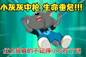 《决战次时代》小灰灰中枪，危在旦夕！红太狼真的记不到小灰灰?视频封面