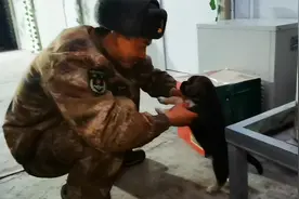 让我们一起去看看高原兵哥哥的课余生活吧视频封面
