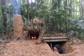 在野外建造的临时庇护所，和狗狗一起过夜，野外丛林露营视频封面