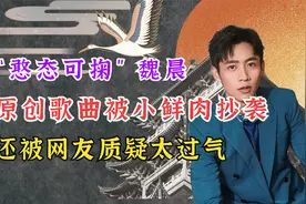 “憨态可掬”魏晨：原创歌曲被小鲜肉抄袭，后被网友质疑太过气视频封面