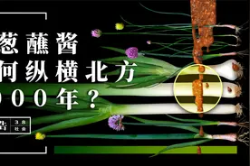 【冷却报告】大葱蘸酱有多好吃？这是一场葱与酱的千年之恋视频封面