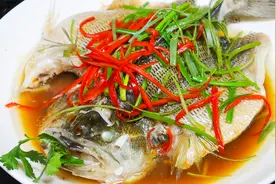 清蒸鲈鱼时，切记不要放盐和料酒，教你正确做法，鱼肉鲜嫩无腥味视频封面