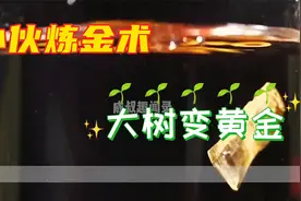 奇妙炼金术 大树变黄金视频封面