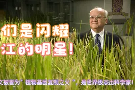 他们是湛江籍的明星，你还记得吗？视频封面