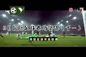 11月国际足球赛场集锦（十一）——德国足球甲级联赛视频封面