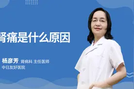肾痛是什么原因？视频封面