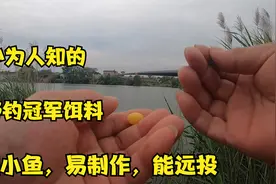 野钓最强钓饵，轻松避开小杂鱼，使用效果远远超过商品饵视频封面