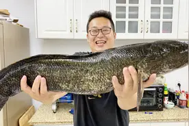 碗口粗的野生大黑鱼花了刚哥138，看起来像蟒蛇，吃起来乐哈哈
