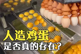 “人造鸡蛋”真能被制造出来吗？看完流水线过程，终于放心了！视频封面