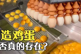 “人造鸡蛋”真能被制造出来吗？看完流水线过程，终于放心了！视频封面