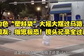白色“塑料袋”大摇大摆过马路，网友：细思极恐！镜头记录全过程视频封面