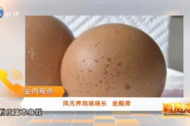鸡蛋为什么会长斑？对身体有害吗？业内人士说出了真相视频封面