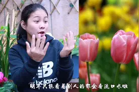 郁金香怎么种？3步搞定，坐等开花！视频封面