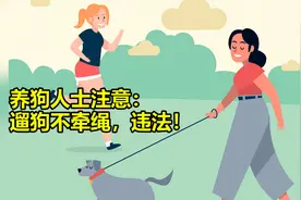 养狗人士注意！5月1日起遛狗不牵绳将违法，重则追究刑事责任视频封面