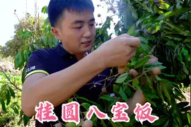 徐三娃到发小家摘桂圆，晒4天制成桂圆干，再加7种配料做成八宝饭视频封面