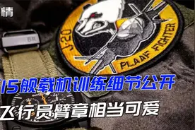 军情|歼15训练细节公开，飞行员臂章相当可爱：是一只咆哮熊猫！视频封面