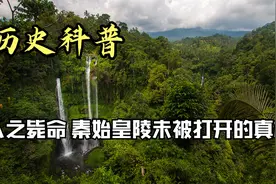 入之毙命 秦始皇陵未被打开的真相视频封面