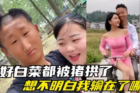 盘点那些好白菜被猪拱的名场面，真是想不明白，我到底输在哪里视频封面