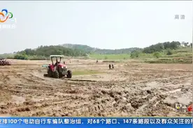 黄陂：盘活土地资源 闲置农田变良田视频封面