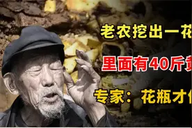 农民挖出一花瓶和40斤黄金，偷偷扔掉花瓶，专家：那才是无价之宝视频封面