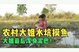 农村大姐水坑摸鱼！最后搞得全身沾满泥巴！视频封面