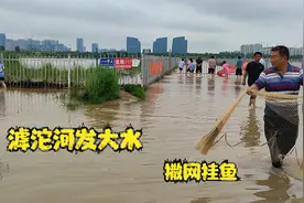 石家庄大雨过后，滹沱河泄洪放水，水面宽阔，人们看水，撒网挂鱼视频封面