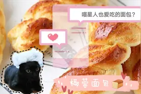 天啦撸，喵星人吃面包？美味椰蓉面包，连猫都爱吃，快来看看吧视频封面