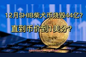 12月SHIB柴犬币烧毁44亿，接下来每月还会继续视频封面