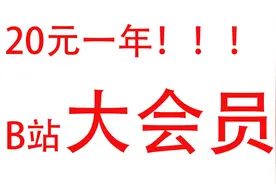 B站年度大会员一年最少只用20元？