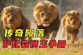 坏男孩联盟传奇陨落，大部分死于人类干预，结局虽凄惨但无比悲壮