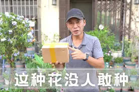 这种花绝大多数人不敢种，相传生长在黄泉路上，被称之为冥界之花视频封面