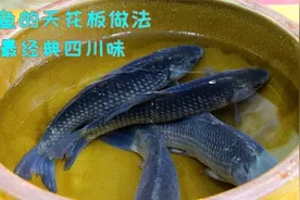 四川家喻户晓的鲫鱼做法，鱼肉细嫩入味还没有刺，真的太靠谱了视频封面