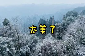 这是湖南天子山难得一见的绝美雪景｜和我一起来看看，太壮观了视频封面