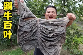320元买个8斤的牛百叶，木炭铜锅涮着吃，七上八下，又脆又香视频封面