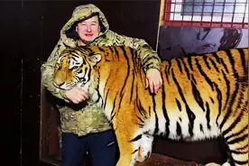 俄罗斯男子“撸猫”，把手往老虎嘴里伸，饲养员在一旁吓破了胆！视频封面