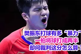 樊振东打球有多“猛”？一拍将球打成两半,却问裁判这分怎么算？