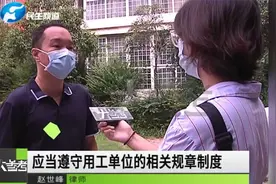 男子上班玩手机被开除，骂完领导还索赔7万元，法院判决出人意料视频封面