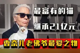 香奈儿“老佛爷”的猫：邱比特，继承21亿遗产，如今生活怎么样？视频封面