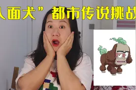 都市传说挑战人面犬，遇见巷子里捡垃圾的狗，记得远离它视频封面