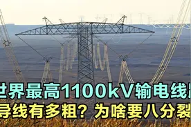 涨知识：世界最高1100kV特高压输电线路导线多粗？为啥要八分裂？