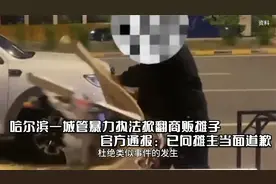 哈尔滨一城管暴力执法掀翻商贩摊子 官方通报：已向摊主当面道歉视频封面
